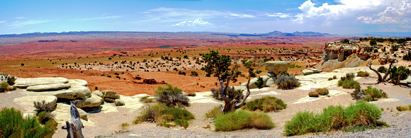 Utah Desert Pano