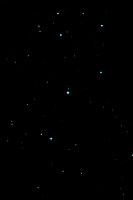 Pleiades  (M45)